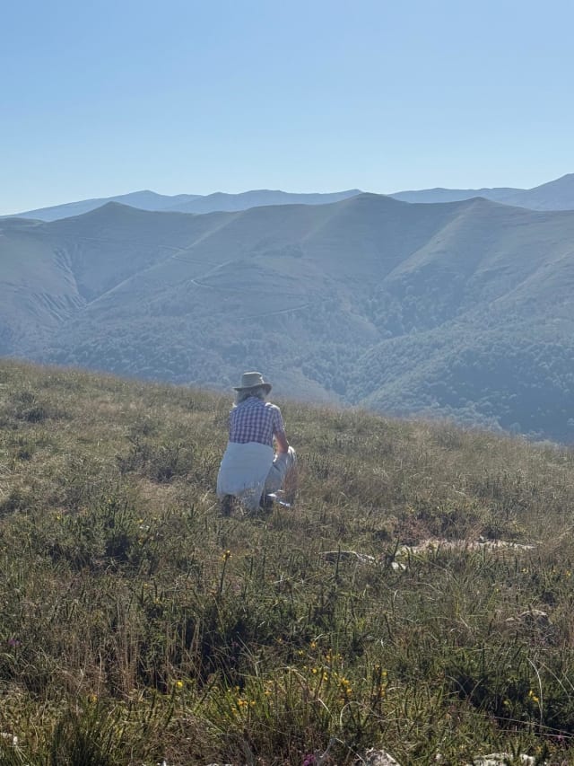 Senderismo y walking: del robledal a los Picos — detalle