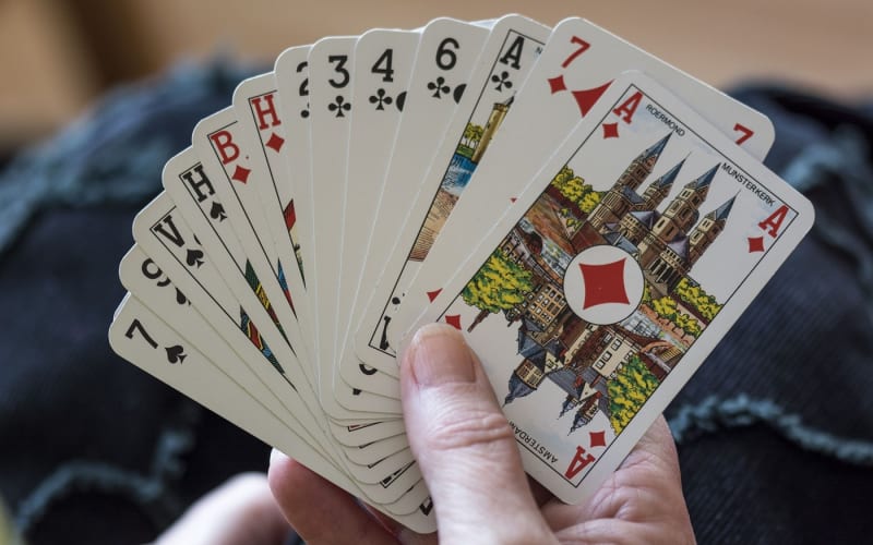Bridge para principiantes y senderismo