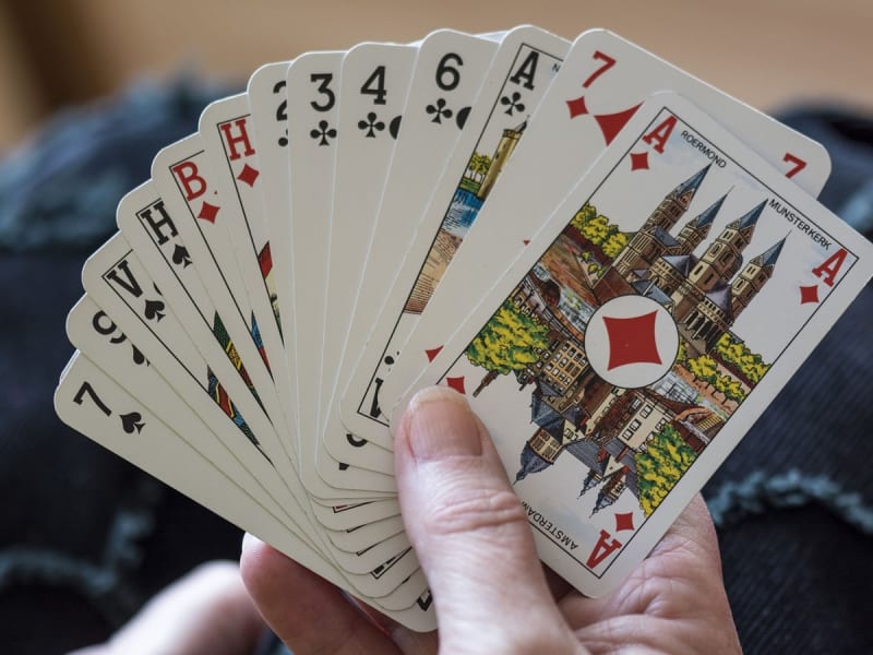 Bridge para principiantes y senderismo