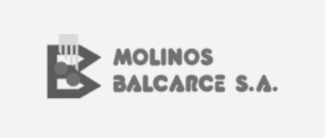 Slide 3 Molinos Balcarce S.A.