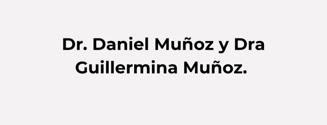 Slide 11 Daniel Muñoz y Guillermina Muñoz