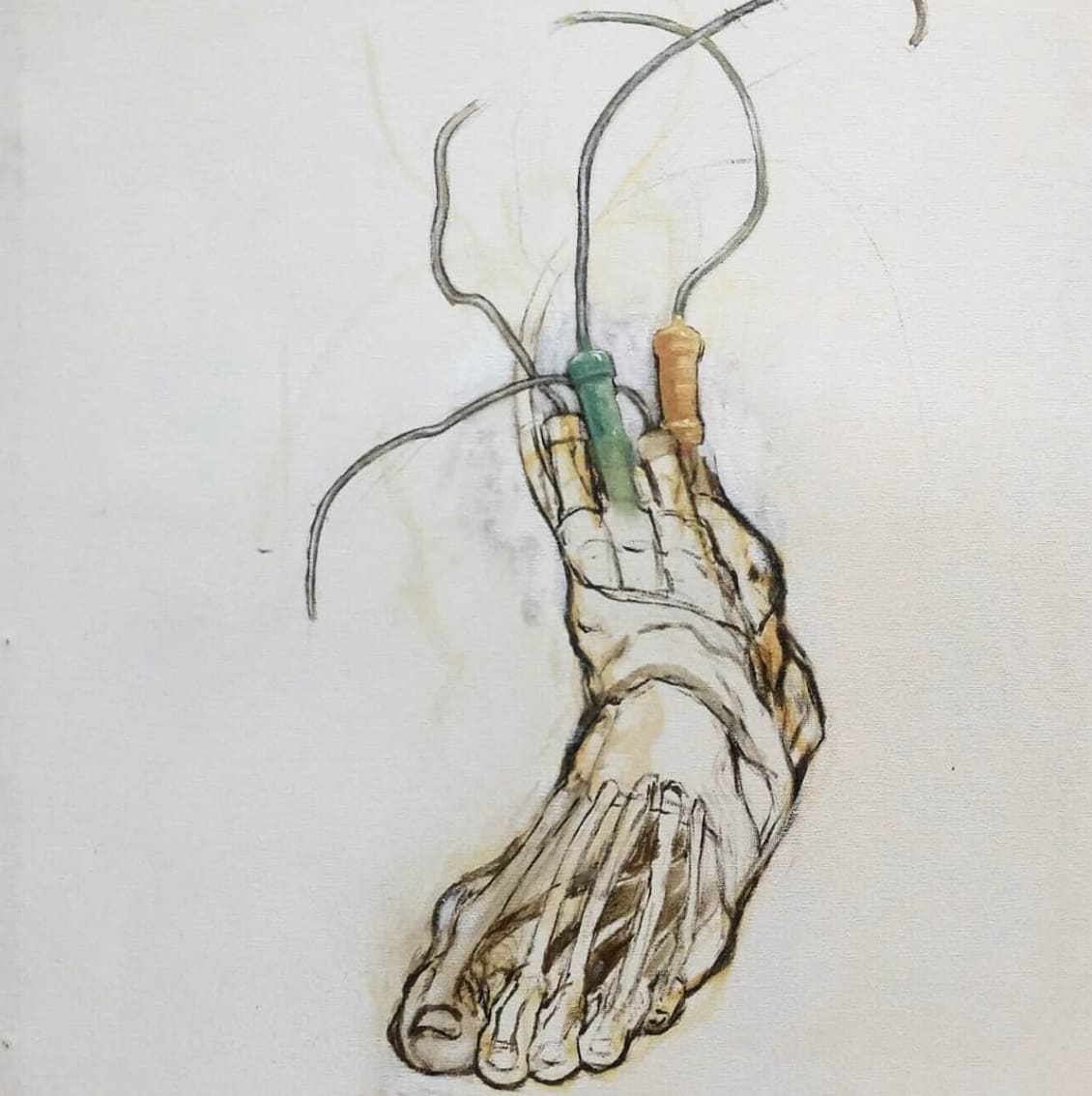 Studies 3