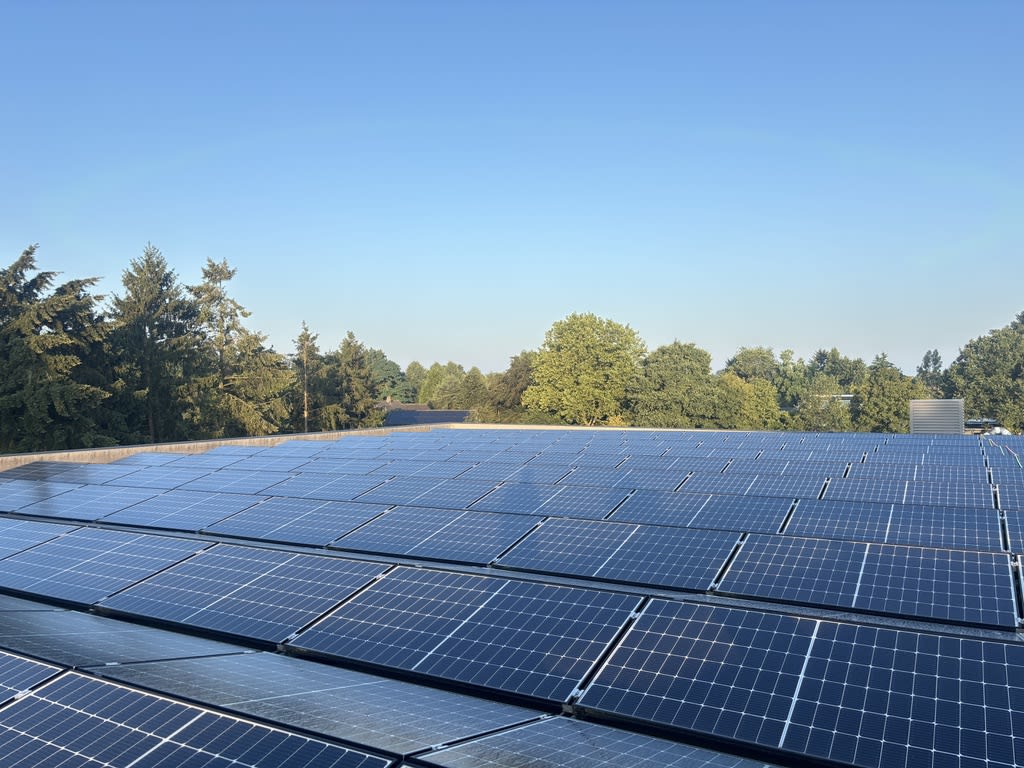 Zonnepanelen reinigen