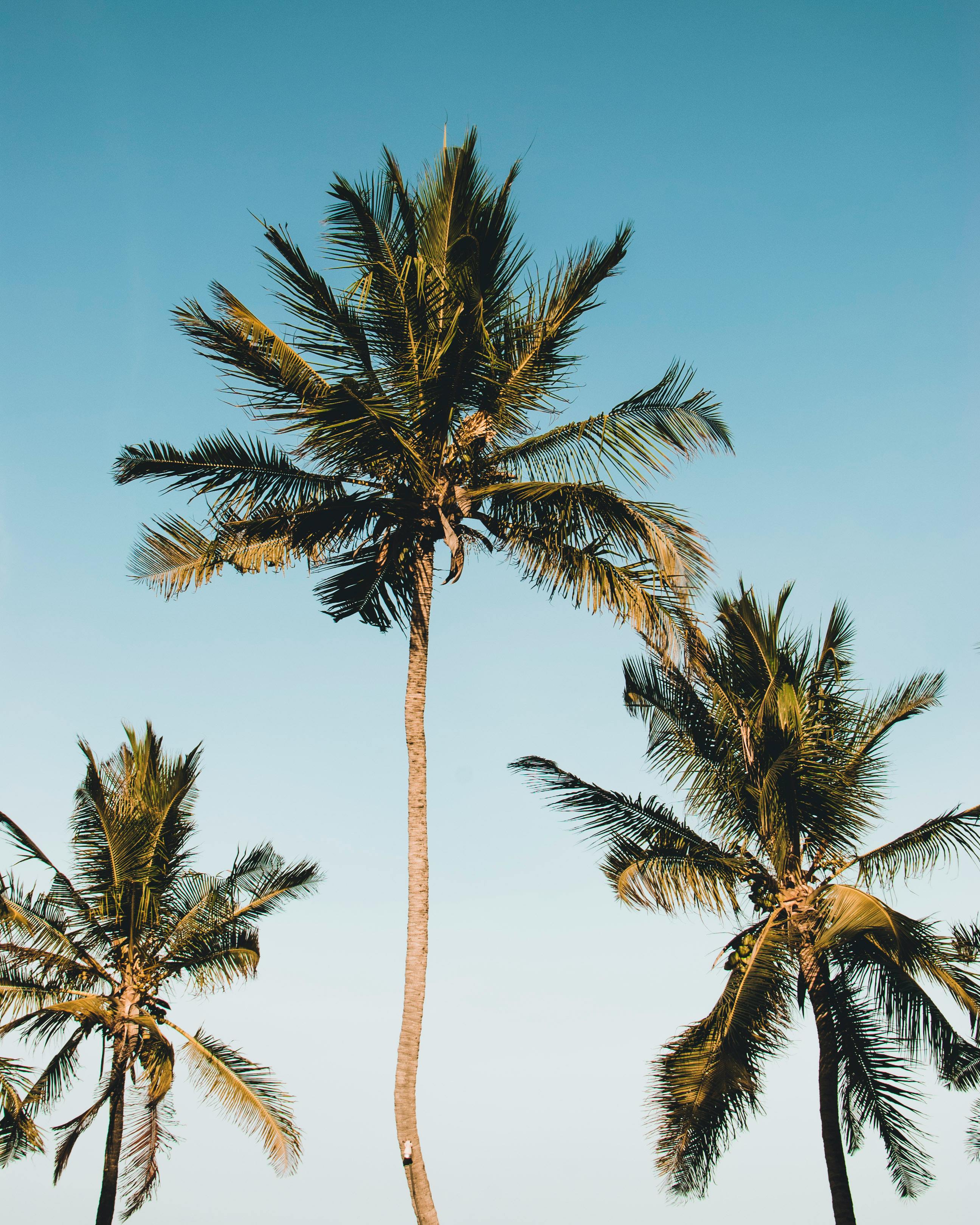 Malindi