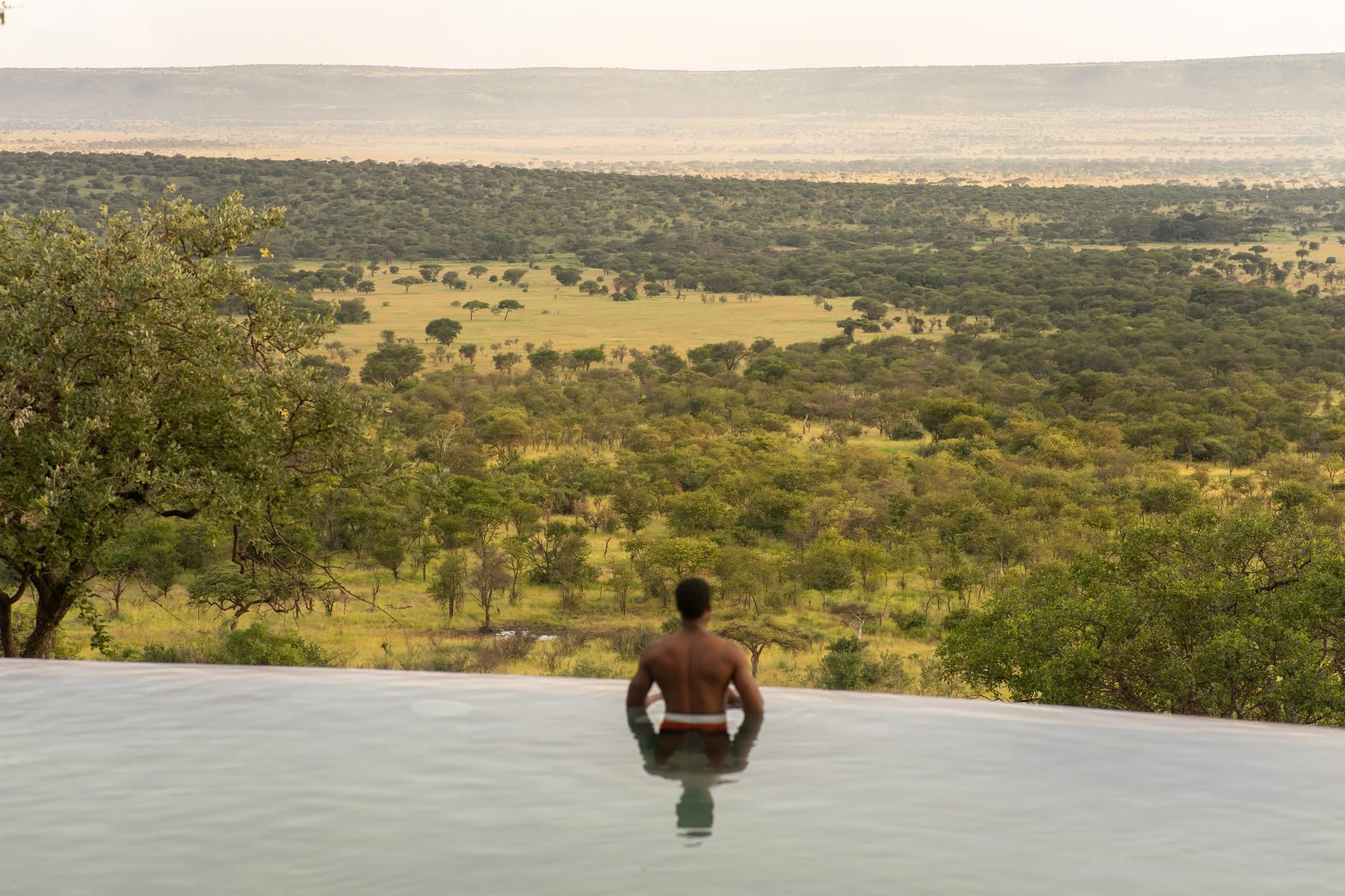 Open grass plains running to the horizon across the Mara and Serengeti ecosystem