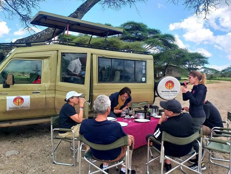 Multiple safari Land Cruisers lined up at a Tanzania national park gate, group safari convoy ready for game drive