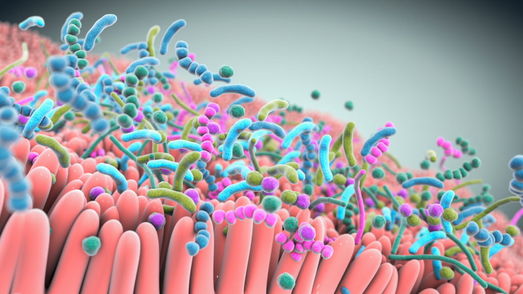 Cardiovascular Disease