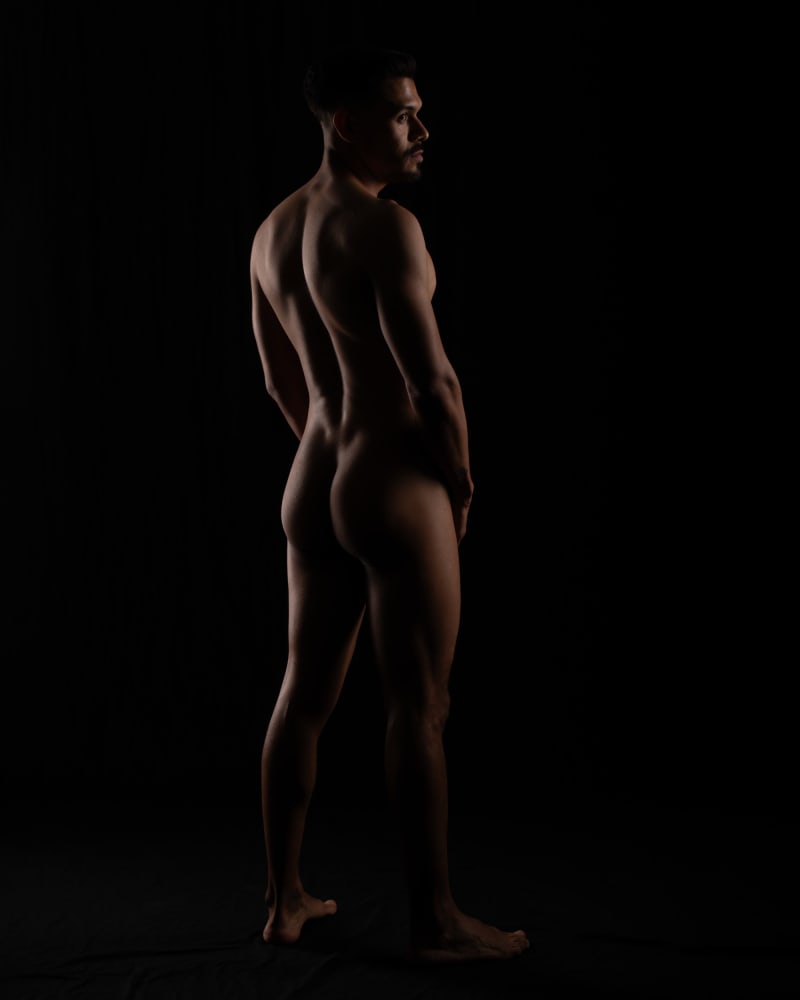 Anatomía