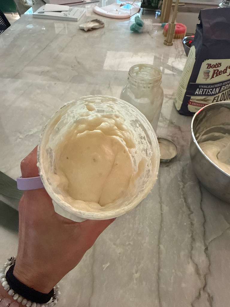Sourdough dough after bulk ferment showing rise and bubbles