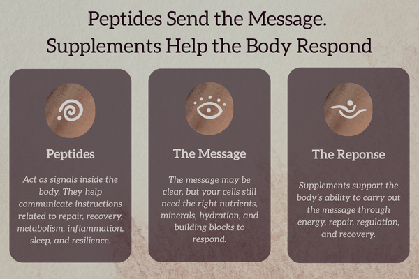 Educational graphic explaining that peptides send signals while supplements help the body respond through energy, repair, regulation, and recovery.