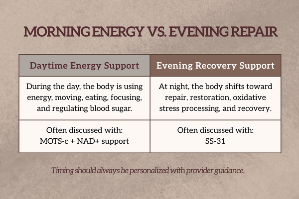 Educational graphic comparing daytime mitochondrial energy support with evening cellular repair and recovery support.