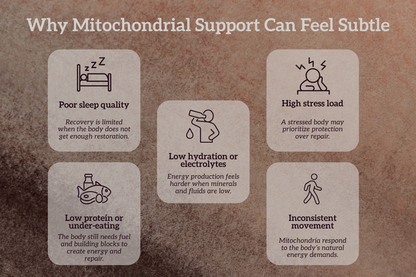 Educational graphic explaining why mitochondrial support can feel subtle, including poor sleep, low protein, low hydration, high stress, and inconsistent movement.