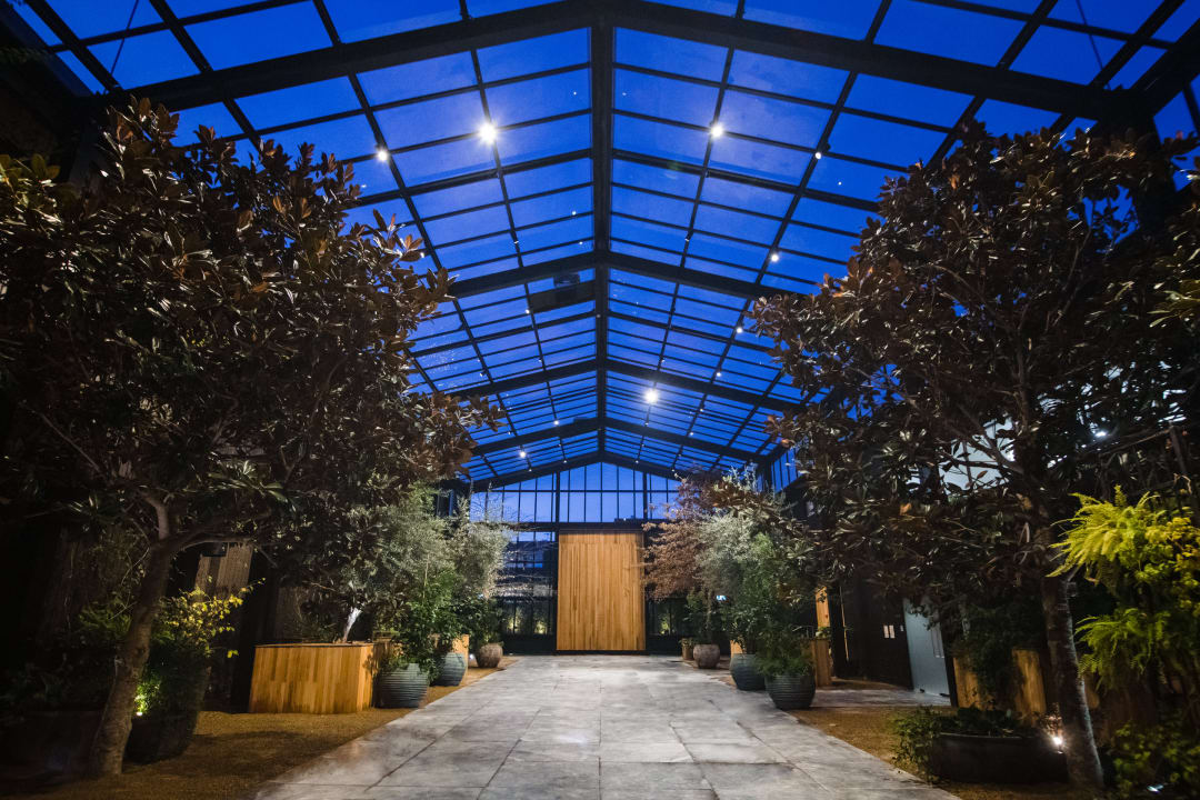 Top 7 Spots For Engagement Photos in Auckland 2024 Thumbnail