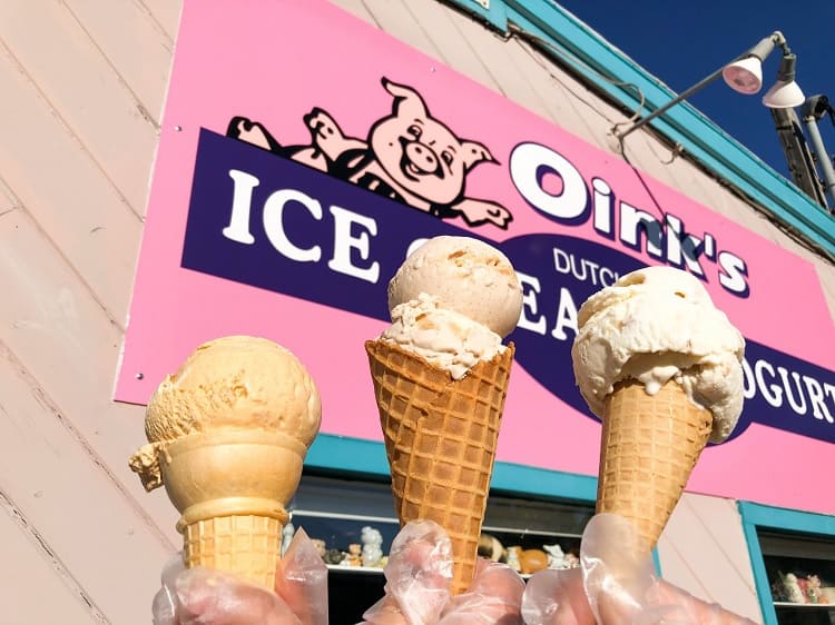 Oink's Ice Cream and Yogurt offers people handheld choices along with various familiar food options