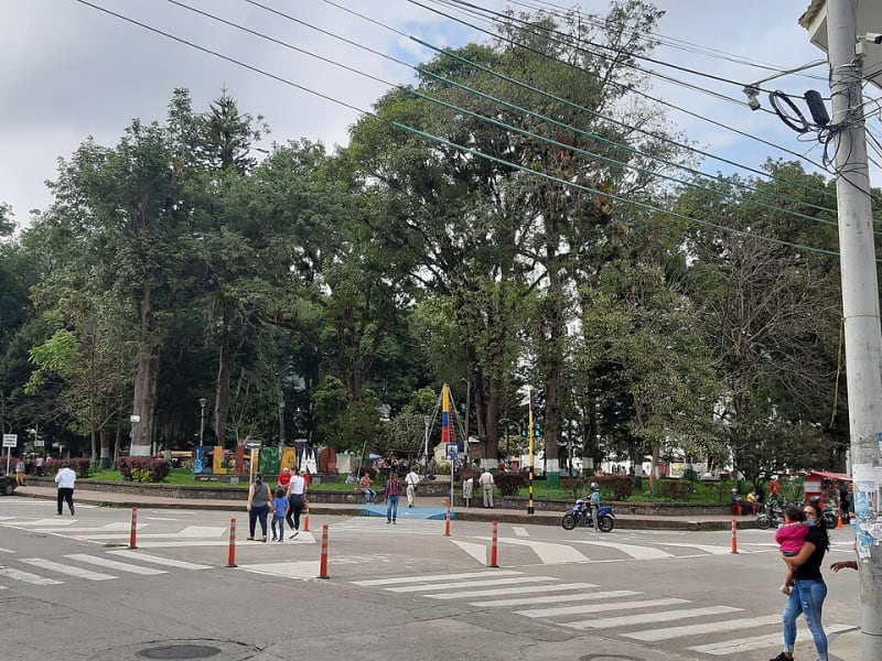 Estos municipios del Tolima están en alerta por brote de dengue