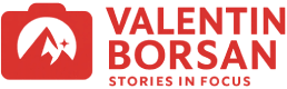 Valentin Borsan Logo