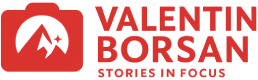 Valentin Borsan Logo