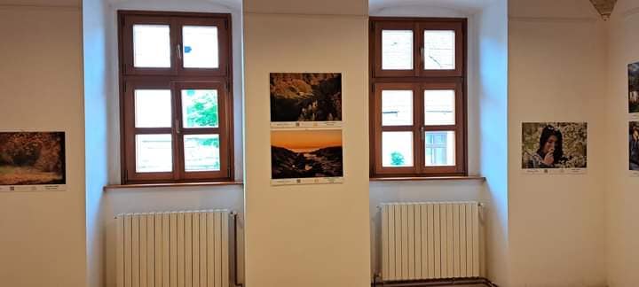 Exhibitions and Events