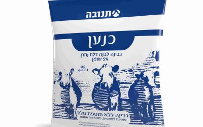 גבינת כנען