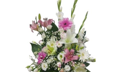 סידור ורוד לבן 