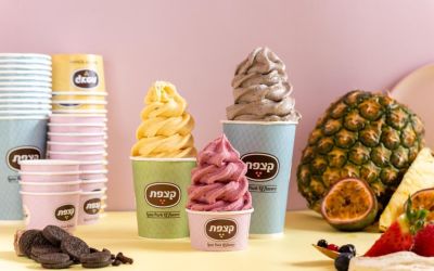 פרוזן יוגורט בינוני