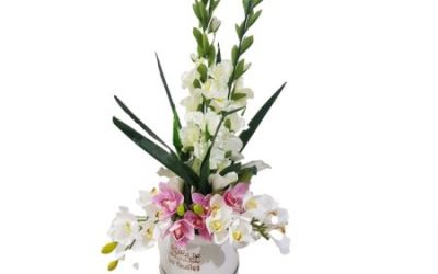 סידור סייפנים סינטטי