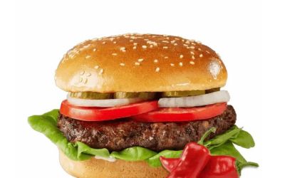 אנגוס מיונז חריף 180 גרם