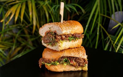 אסאדו מפורק