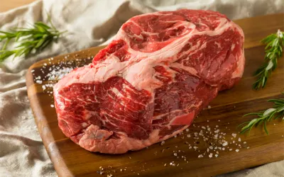 אונטריב דנבר טרי