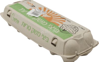 ביצים L - מחיר בפיקוח ממשלתי