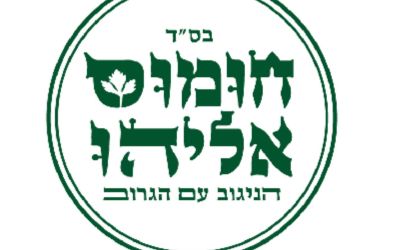פטריות - קטן 