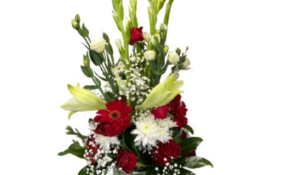 סידור גבוה בכלי 