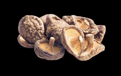 Шитаке: сухі