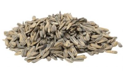 גרעינים שחורים עפולה 100 גרם