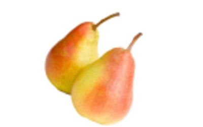 אגס קוסטייה