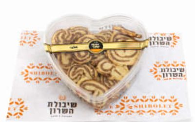 משקפי קינמון 