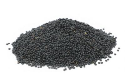 עדשים שחורים 100 גרם