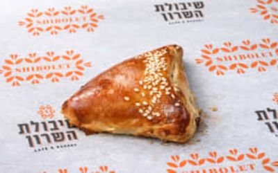 פילס גבינה 500 גרם
