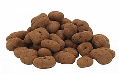 פקאן בטראפלס שוקולד 100 גרם