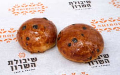 לחמנייה עגולה מתוקה עם פצפוצי שוקולד