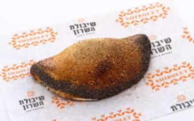 סמבוסק בולגרית שמנת