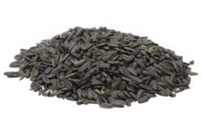 חמניה רוסית טבעית 1 ק״ג