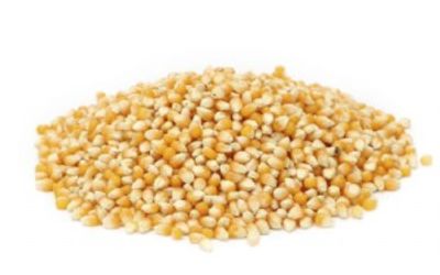 תירס לפופקורן 100 גרם