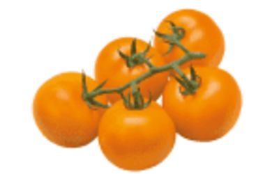 שרי כתום 1 ק״ג