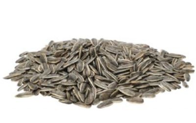 חמניות גדולות טבעיות 100 גרם