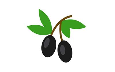 Jasmine Vineyard Red Seedless Grapes