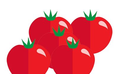 Tomatoes On The Vine