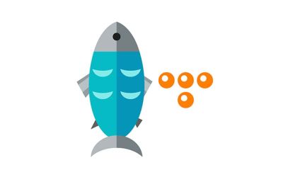 Fairway Market Fresh Tilapia Fillet