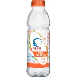 מים בטעם אפרסק