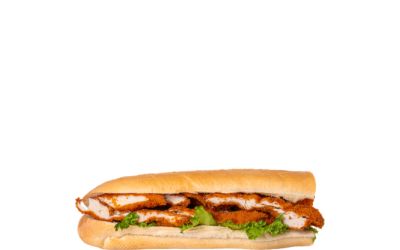  שלושה רבעים באגט שניצל